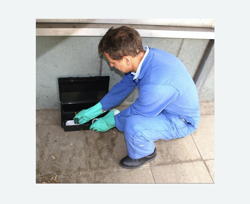 Уничтожение мышей в Саянске Уничтожение мышей