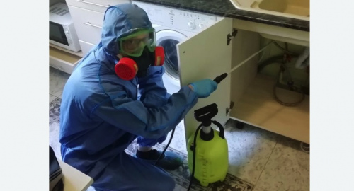 Уничтожение муравьев в квартире. Саянск