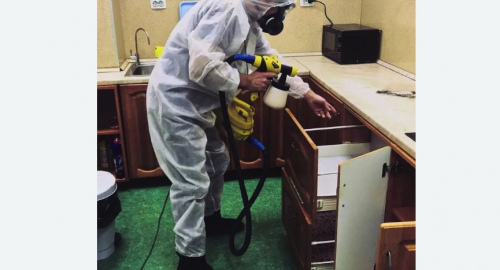 Уничтожение насекомых в квартире. Саянск