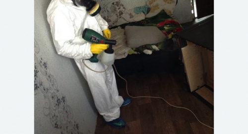 Обработка квартир от насекомых в Саянске