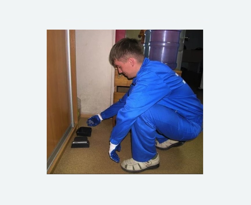 Дератизация крыс в Саянске