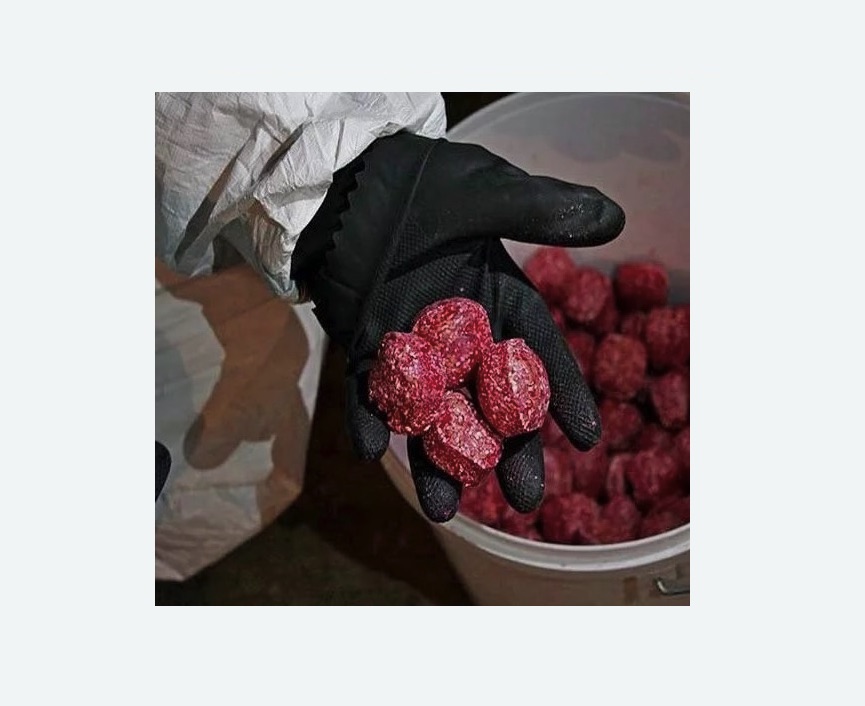 Обработка от крыс в Саянске