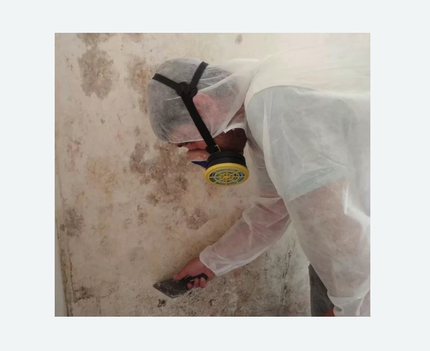 Обработка стен от плесени Обработка стен от плесени в Саянске