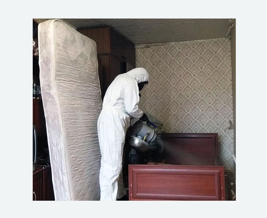 дезинфекция от клопов дезинфекция от клопов в Саянске