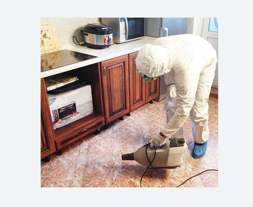 обработка квартиры от клопов в Саянске обработка квартиры от клопов