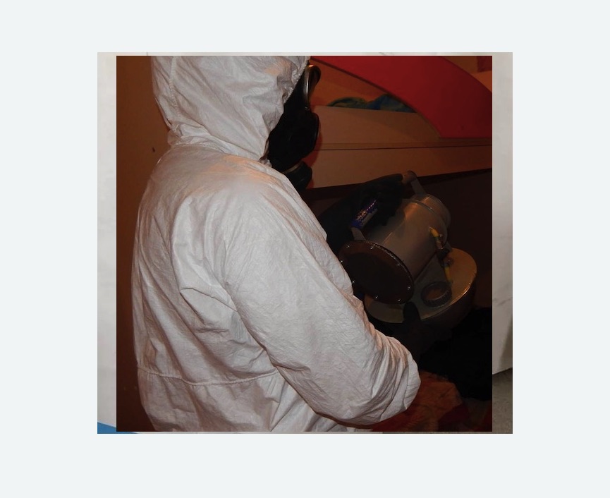 Дезинфекция от муравьев в Саянске