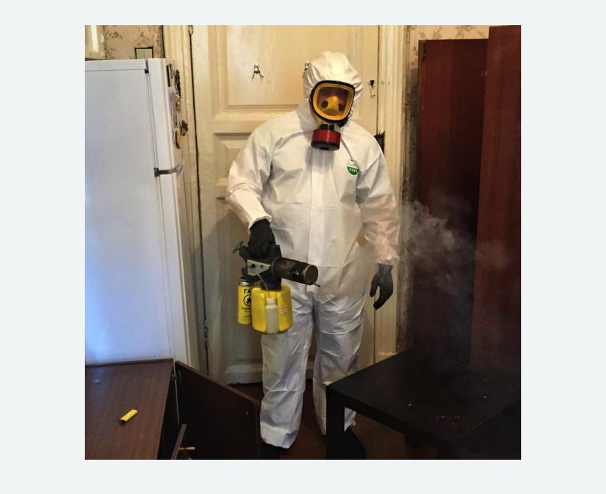 уничтожение муравьев в квартире в Саянске